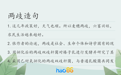 兩歧造句
