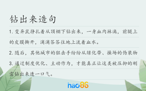 鉆出來造句