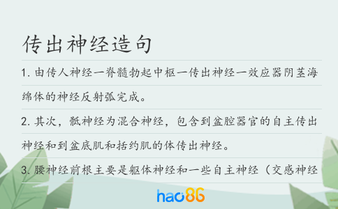 傳出神經造句
