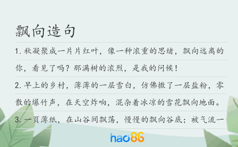 飄向造句