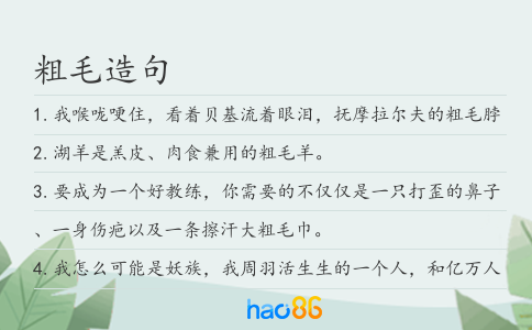 粗毛造句