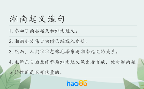湘南起義造句