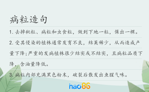 病粒造句