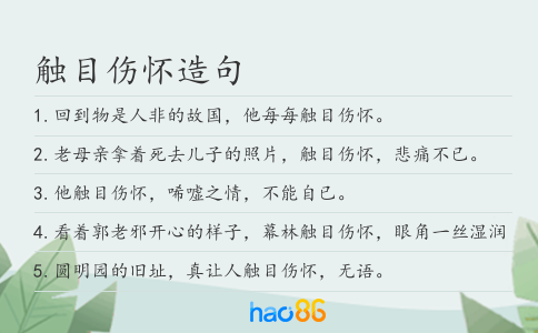 觸目傷懷造句