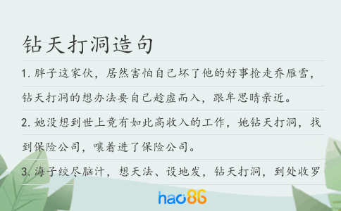 鉆天打洞造句