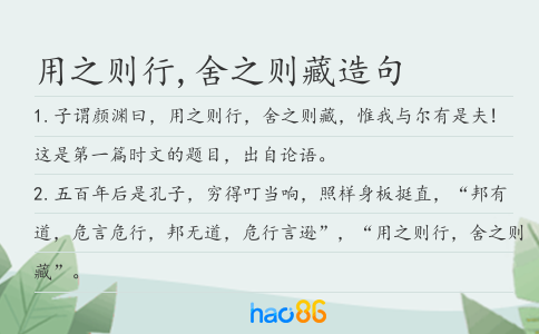 用之則行,舍之則藏造句