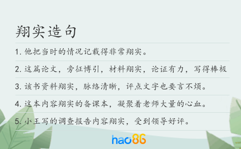 翔實造句