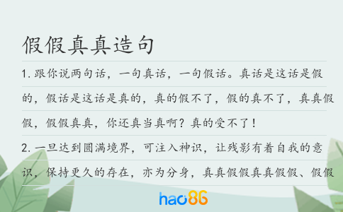 假假真真造句