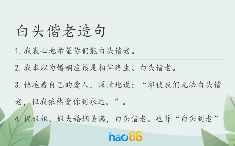 白頭偕老造句