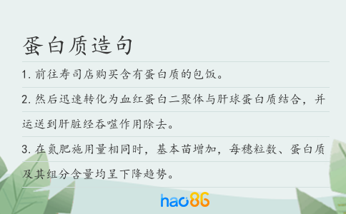 蛋白質造句
