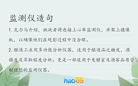 監測儀造句