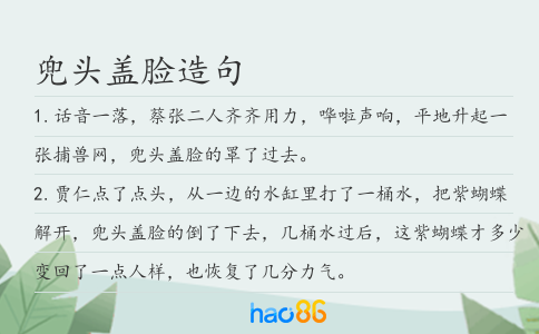兜頭蓋臉造句