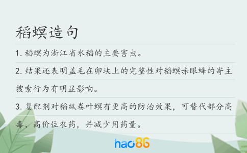 稻螟造句