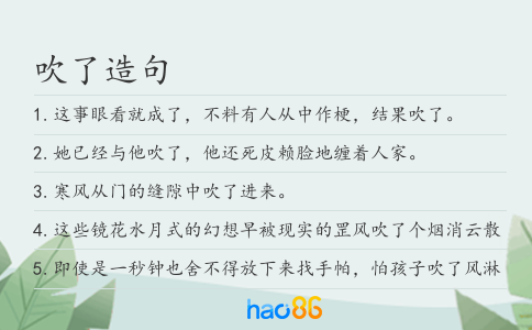 吹了造句