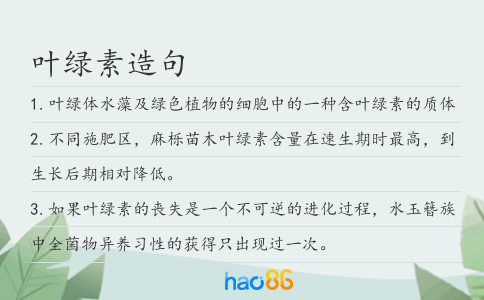 葉綠素造句