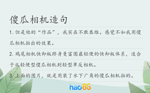 傻瓜相機造句