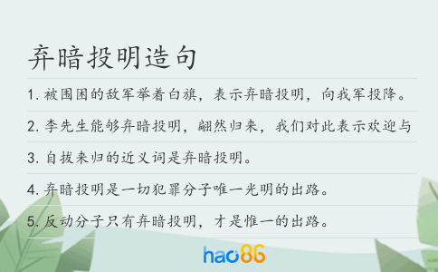 棄暗投明造句