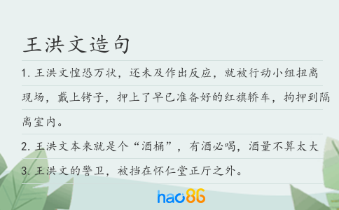 王洪文造句