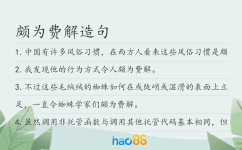頗為費解造句