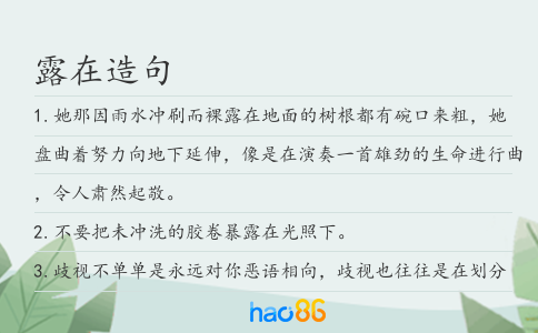 露在造句