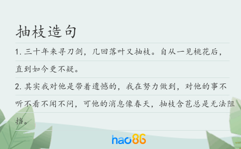 抽枝造句