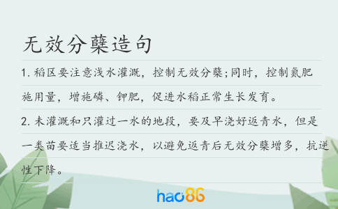 無效分蘗造句