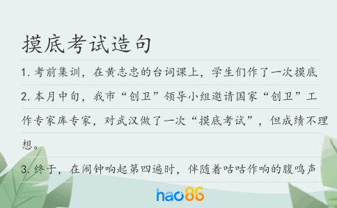 摸底考試造句