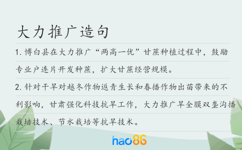 大力推廣造句