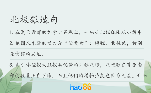 北極狐造句