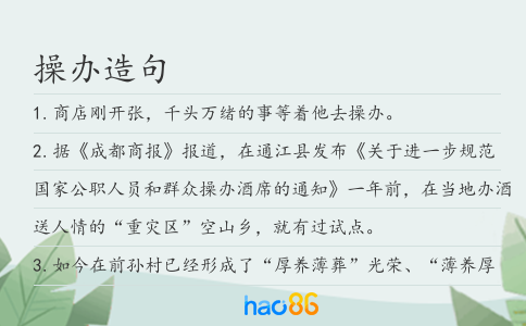 操辦造句