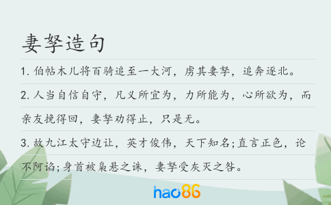 妻孥造句