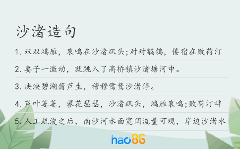 沙渚造句