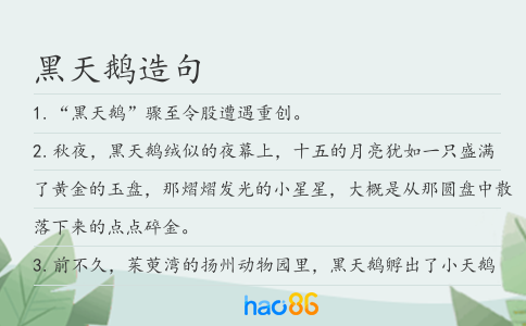 黑天鵝造句