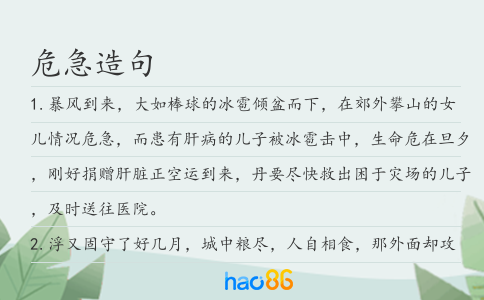 危急造句