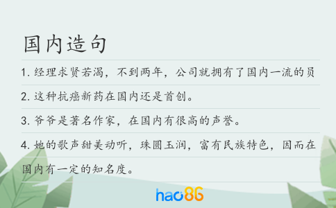 國內造句